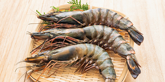 えびの輸入・販売